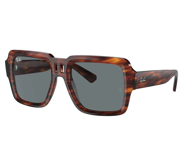 Ray-Ban sunglasses RB4408 139880 54 19 Brown
