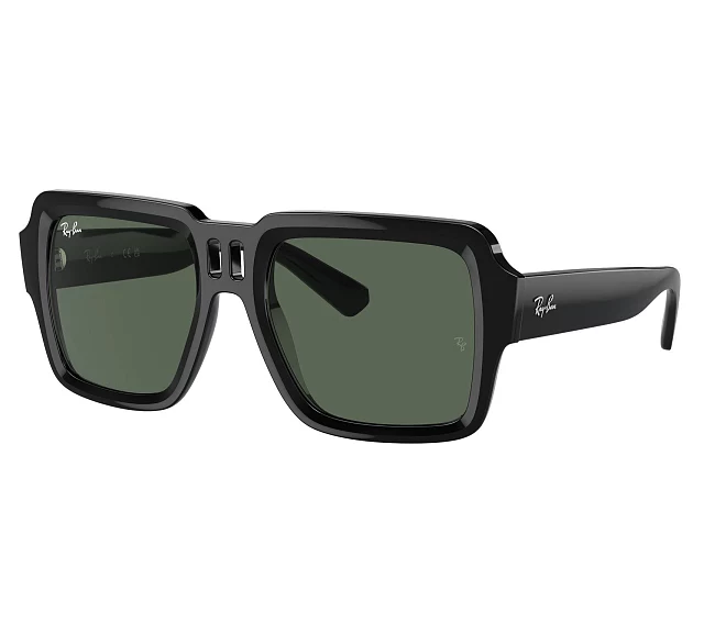 Ray-Ban sunglasses RB4408 667771 54 19 Black