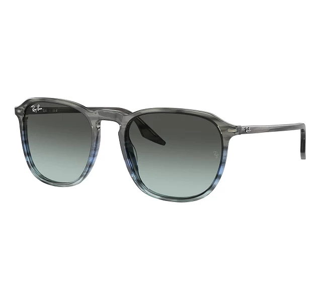 Ray-Ban sunglasses RB2203 1391GK 55 20 Blue