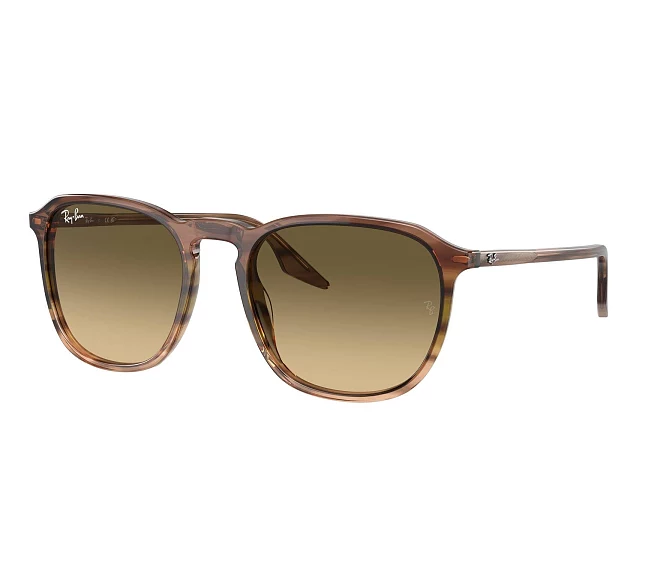 Ray-Ban sunglasses RB2203 13920A 55 20 Brown