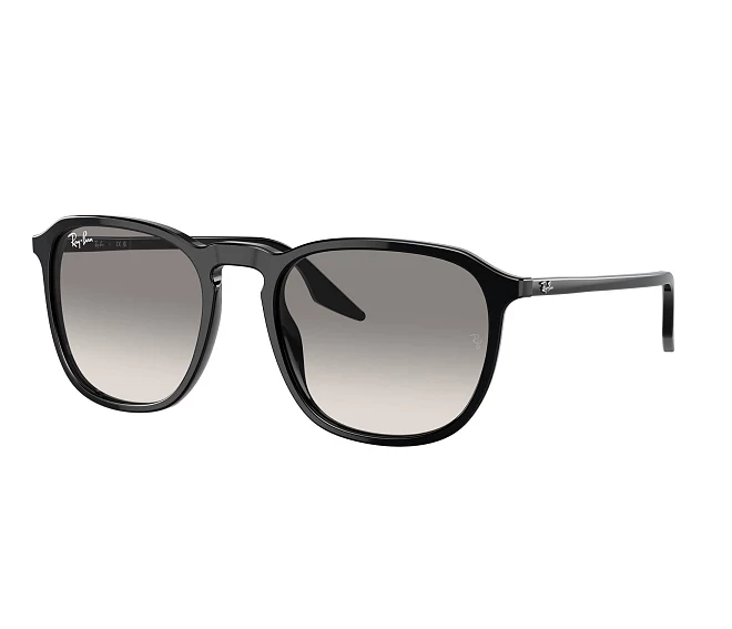 Ray-Ban sunglasses RB2203 901/32 55 20 Black