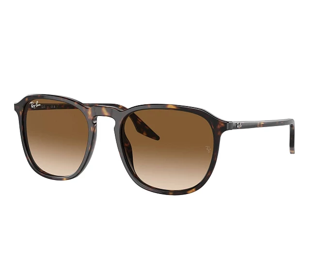 Ray-Ban sunglasses RB2203 902/51 55 20 Havana