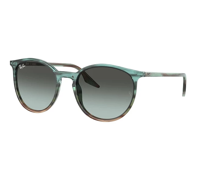 Ray-Ban sunglasses RB2204 1394GK 51 20 Mix