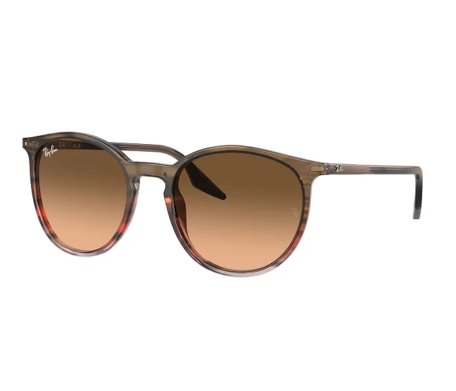 Ray-Ban sunglasses RB2204 13953B 54 20 Brown