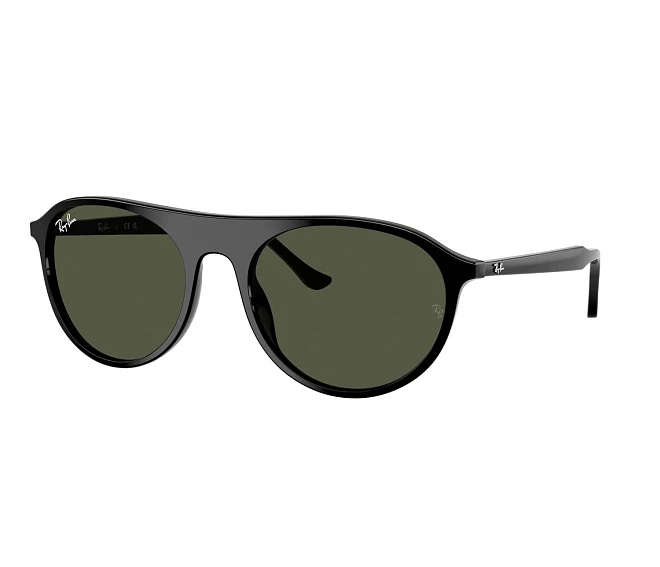 Ray-Ban sunglasses RB2215 901/31 56 20 Black