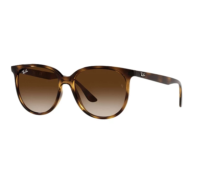 Ray-Ban sunglasses RB4378 710/13 54 16 Havana