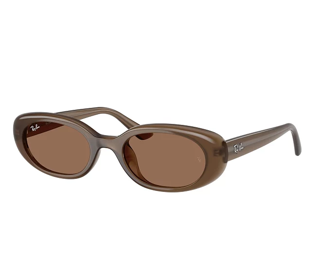Ray-Ban sunglasses RB4441D 677973 53 21 Brown