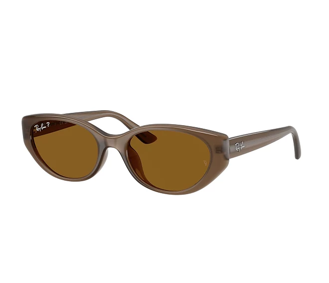 Ray-Ban sunglasses RB4457D 677983 55 19 Brown