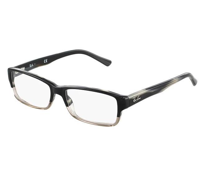 Ray-Ban eyeglasses RX-5169 5540 54 16 BlackMix