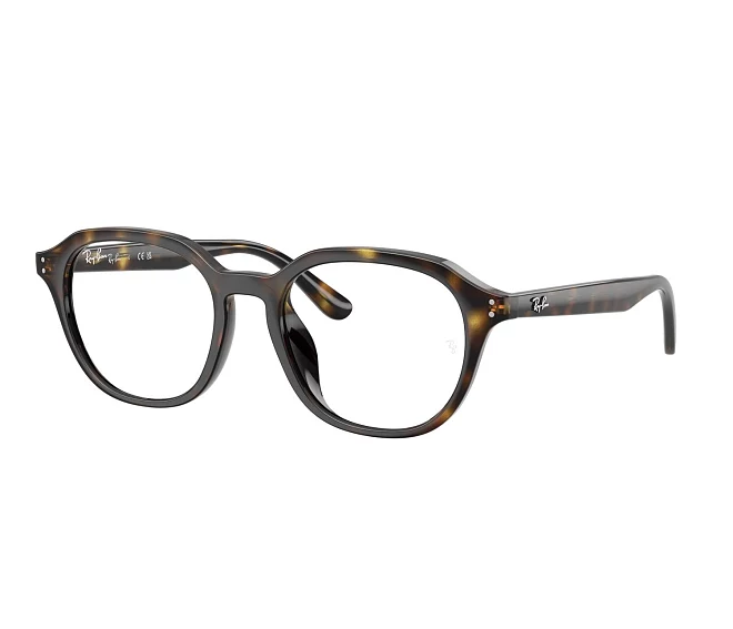 Ray-Ban eyeglasses RX7259D 2012 52 19 Havana