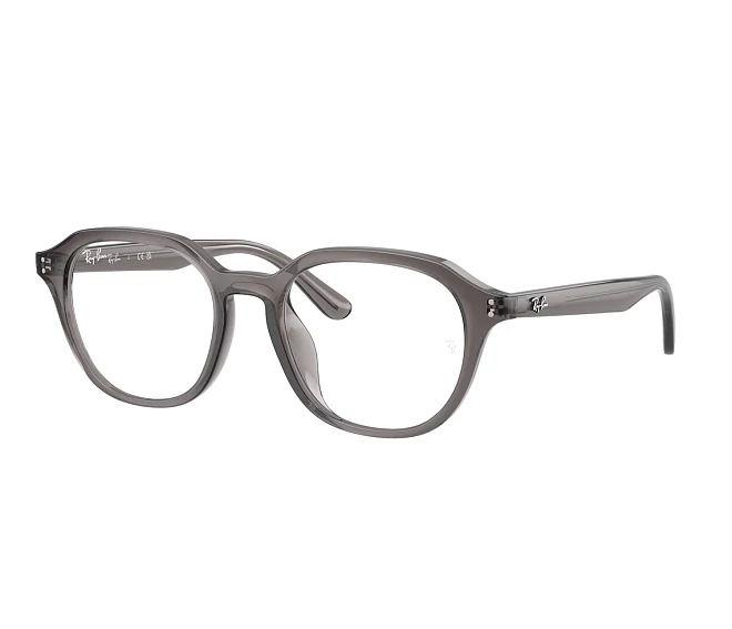 Ray-Ban eyeglasses RX7259D 8257 52 19 Grey
