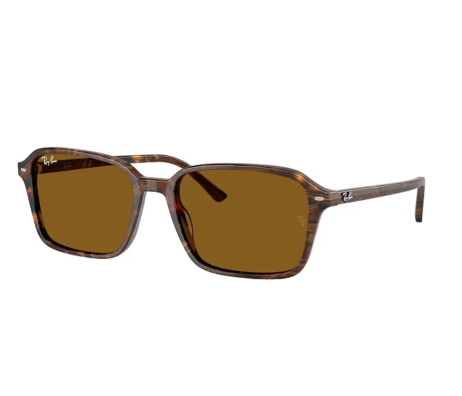 Ray-Ban sunglasses RB2231 141833 56 18 Mix