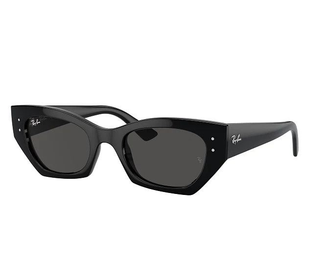 Ray-Ban sunglasses RB4430 667787 49 22 Black