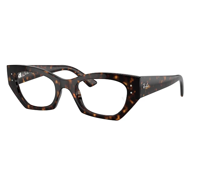 Ray-Ban eyeglasses RX7330 8320 49 22 Havana