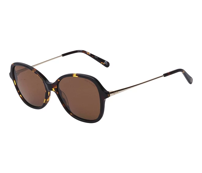 Ripcurl sunglasses GSA021 02 50 15 BrownGold