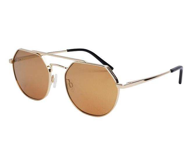 Serengeti sunglasses SS533 003 54 18 GoldBlack