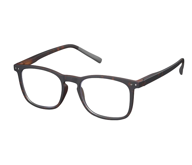 Solar eyeglasses JSLR02 51 51 19 Havana