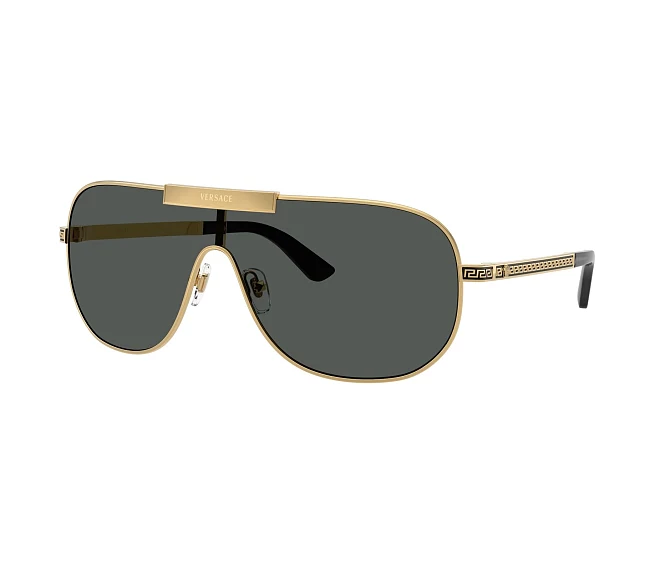 Versace sunglasses VE2293 100287   Gold
