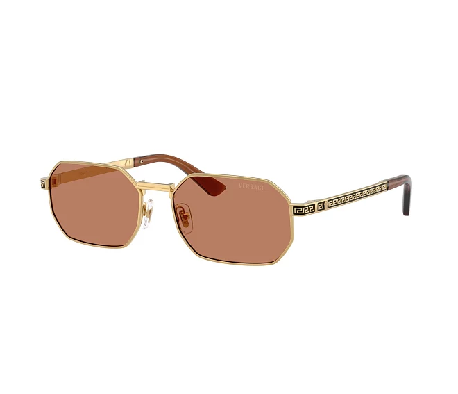 Versace sunglasses VE2297 100273 54 16 Gold