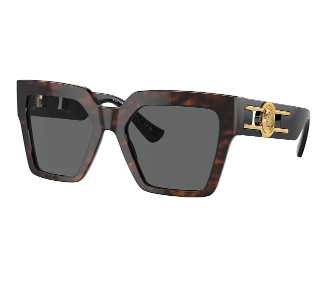Versace sunglasses VE4458 542987 54 19 Havana