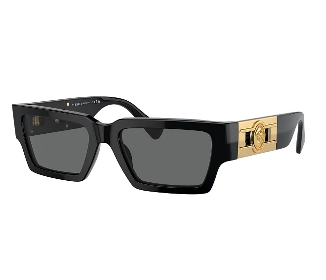 Versace sunglasses VE4459 GB1/87 54 18 Black