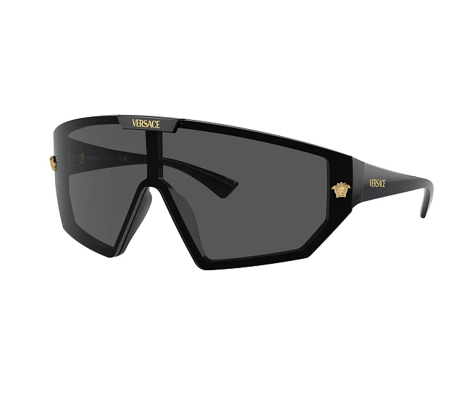 Versace sunglasses VE4461 GB1/87   Black