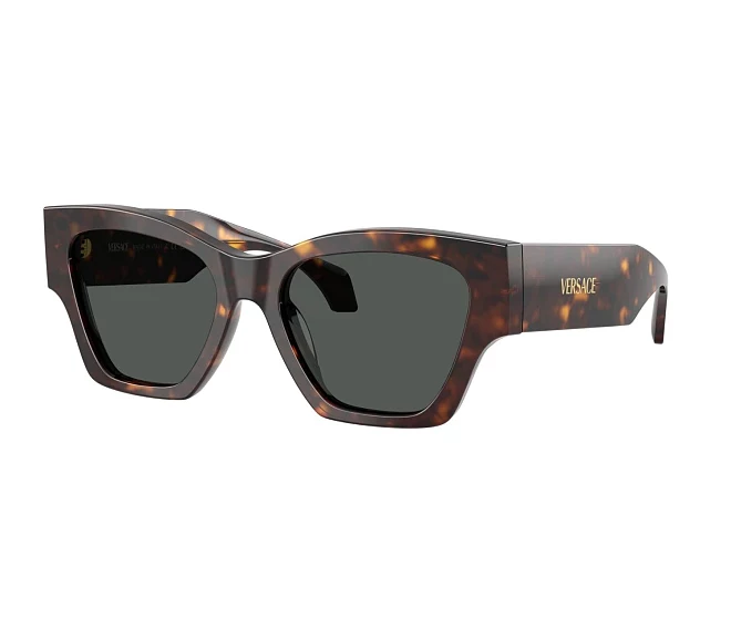 Versace sunglasses VE4492U 108/87 53 18 Brown