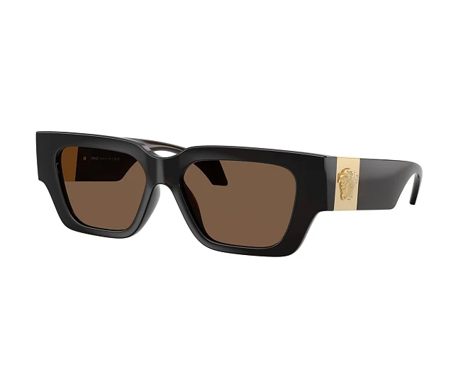 Versace sunglasses VE4497U 554373 53 15 Brown