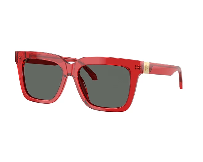 Versace sunglasses VE4498 528087 55 16 Red