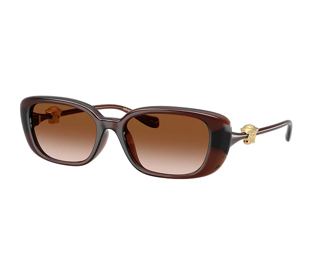 Versace sunglasses VE4504D 533213 56 18 Brown