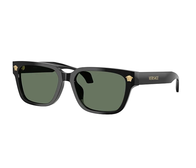 Versace sunglasses VE4513D GB1/82 56 17 Black