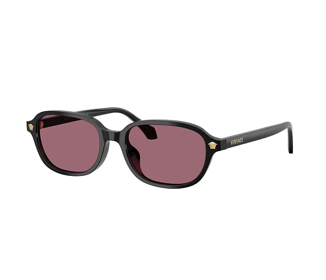 Versace sunglasses VE4514D GB1/1A 53 17 Black