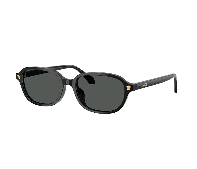 Versace sunglasses VE4514D GB1/87 53 17 Black