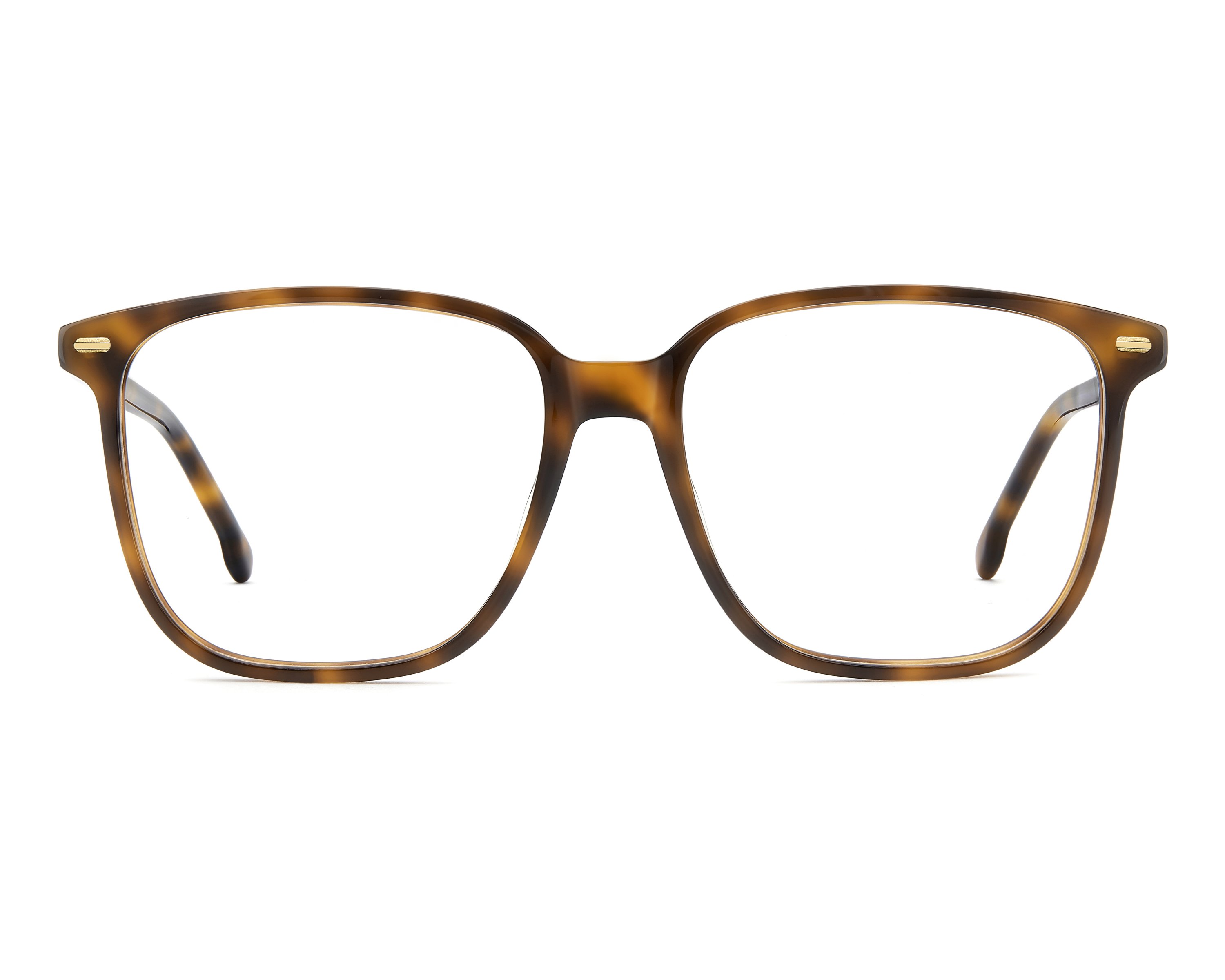 Carrera CARRERA-3090 WR9 55-16 Havana Gold side view