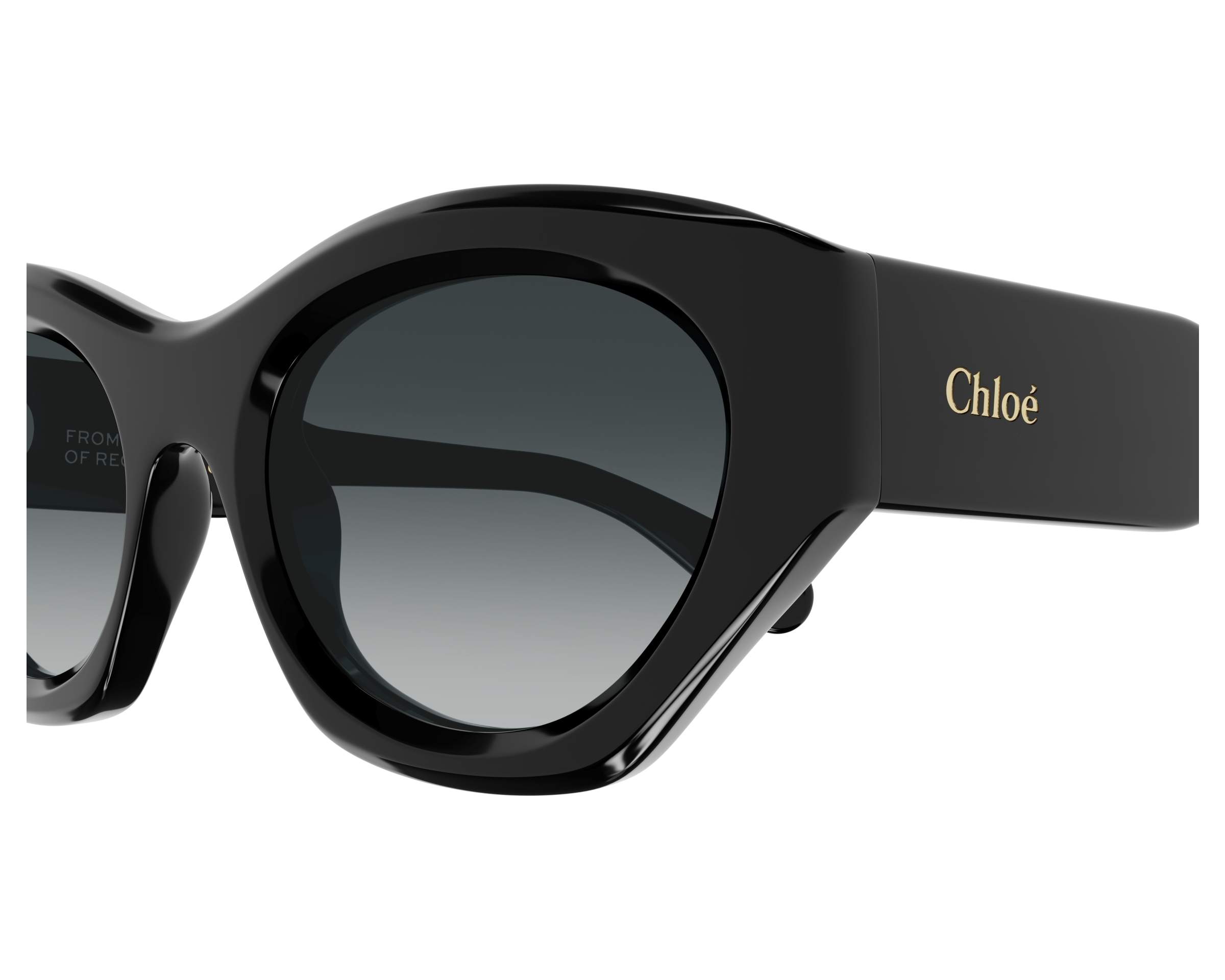 Chloe Sunglasses GAYIA CH0220S 001