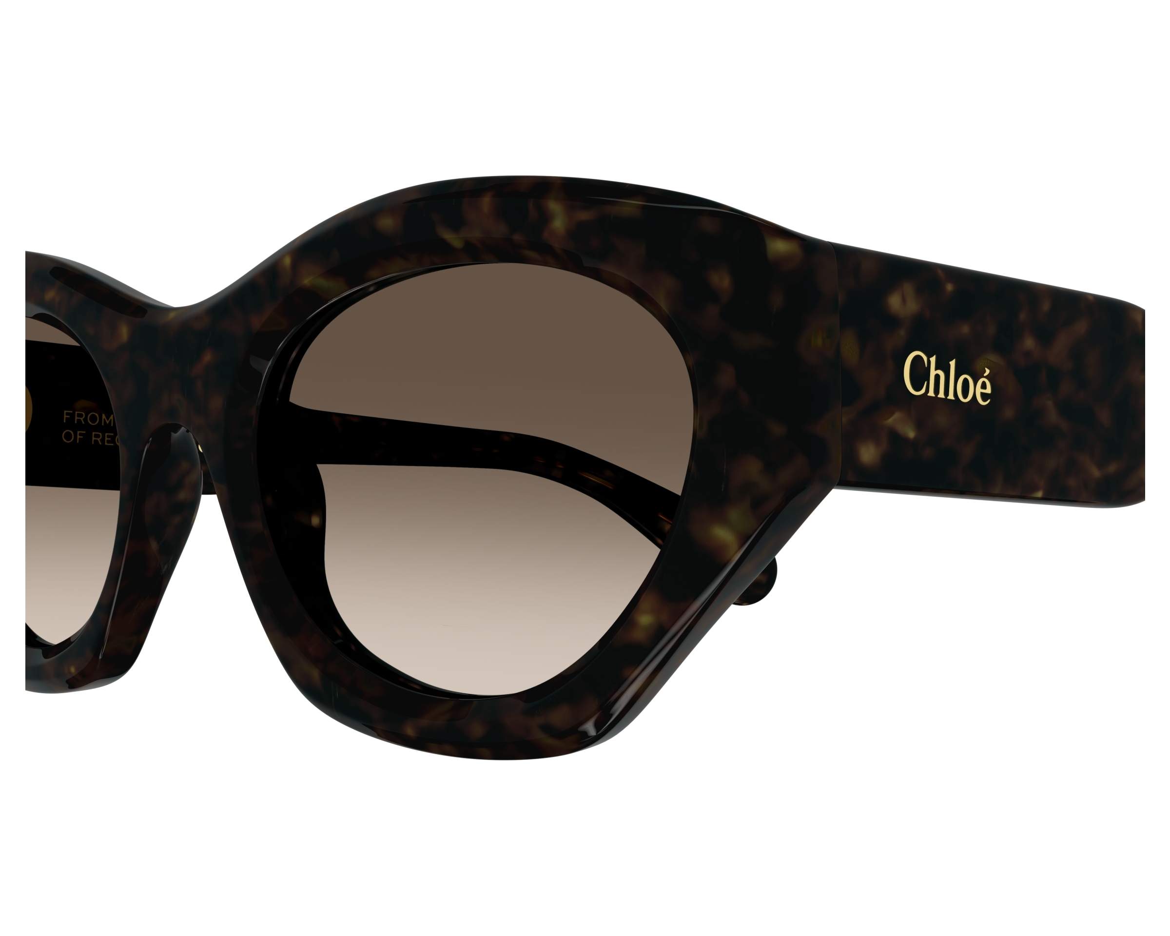 Chloe CH0220S 002 - Havana  side view