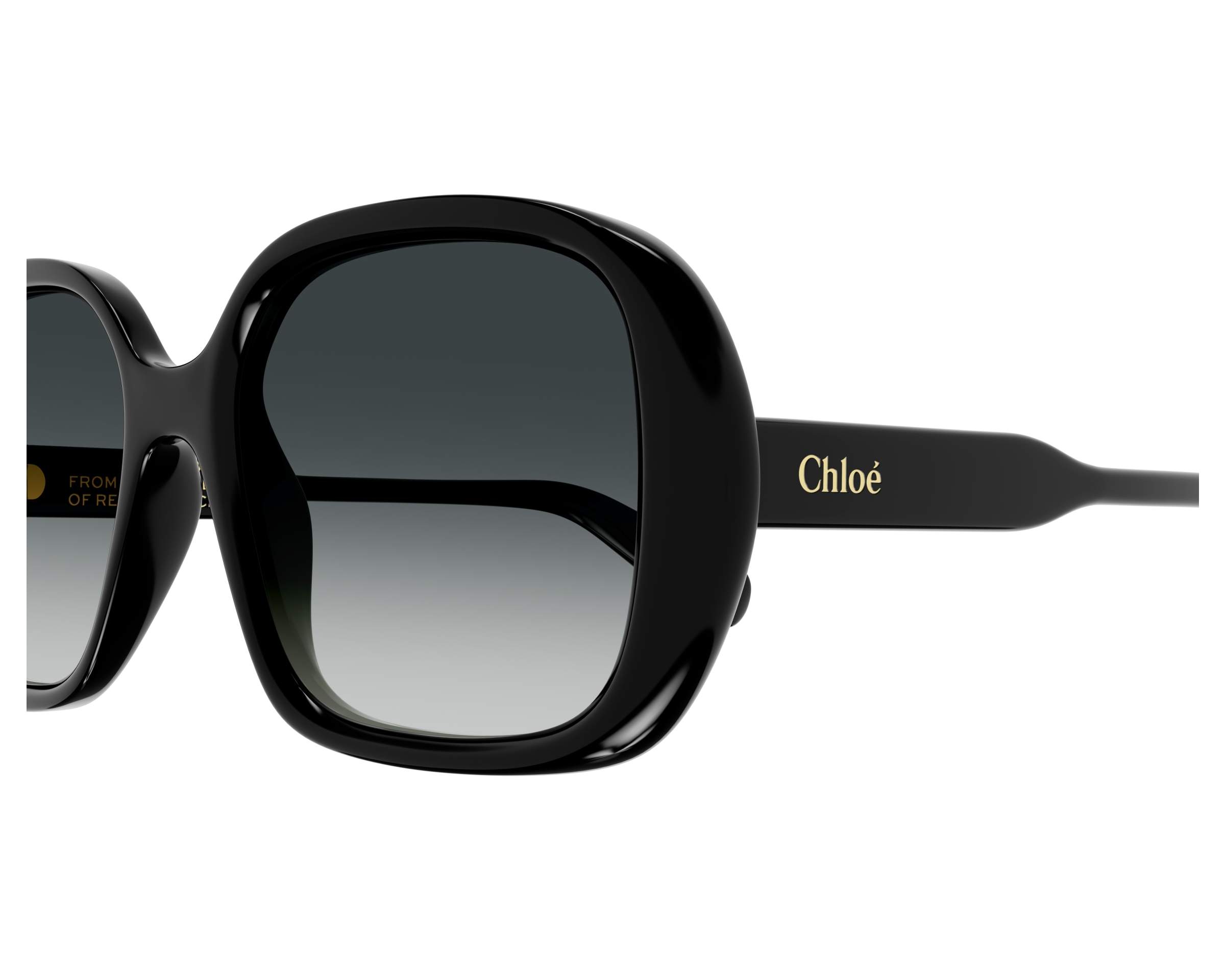 Chloe Sunglasses GAYIA CH0222S 001
