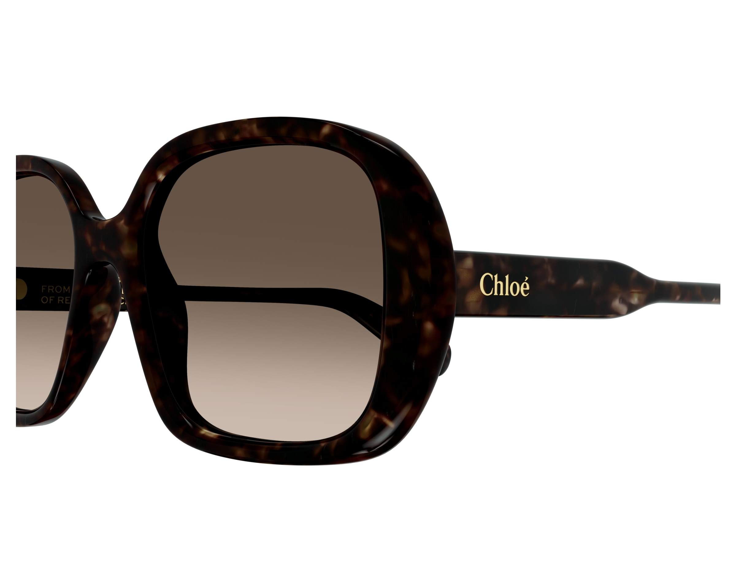 Chloe Sunglasses GAYIA CH0222S 002