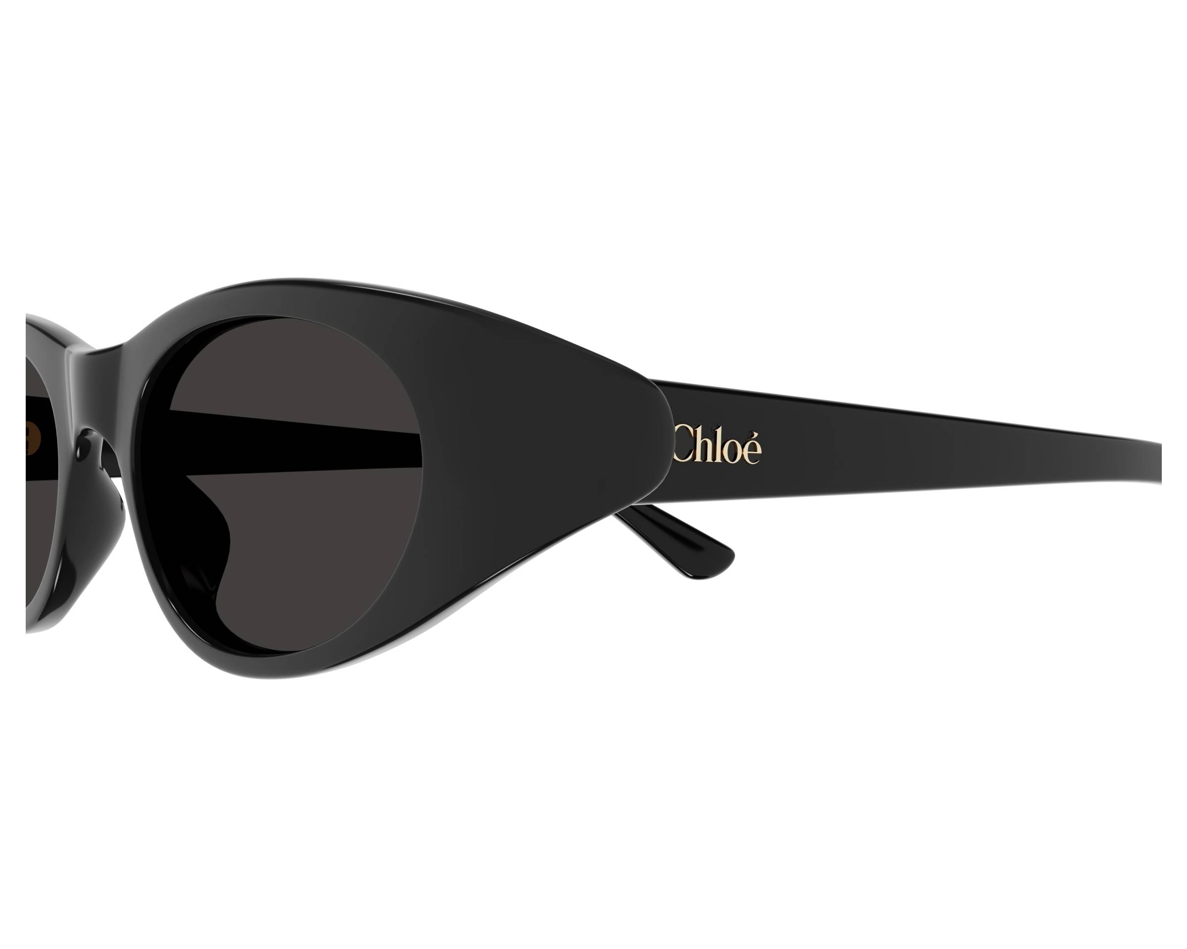 Chloe Sunglasses IZIA CH0279S 001