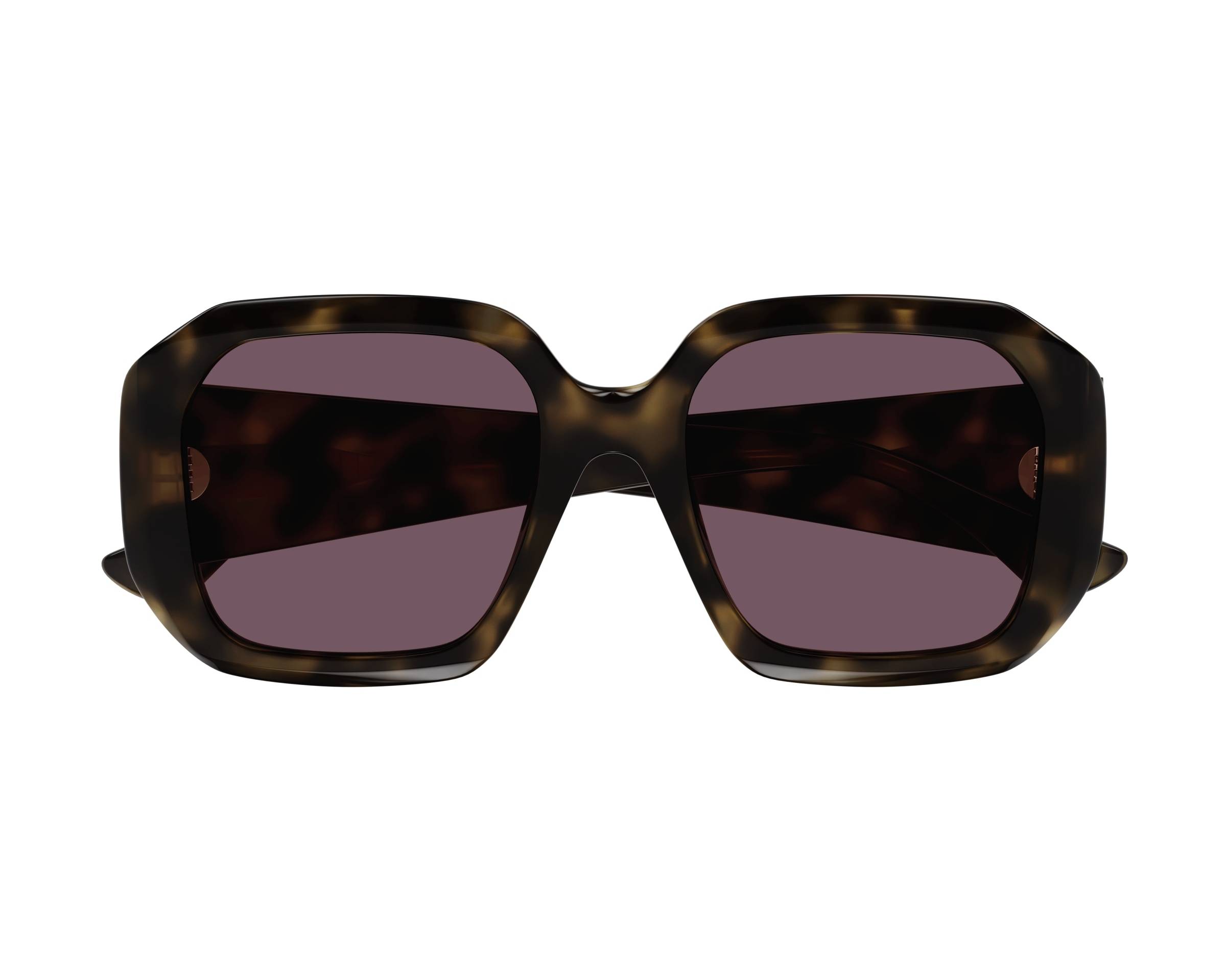Chloe Sunglasses IZIA CH0300S 002