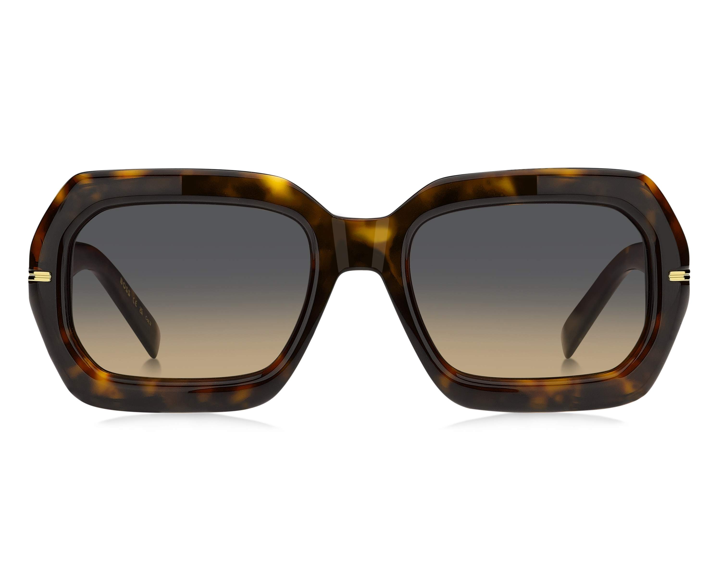 Hugo Boss BOSS-1732-G-S 086/PR: Buy Online | Visionet display picture 1