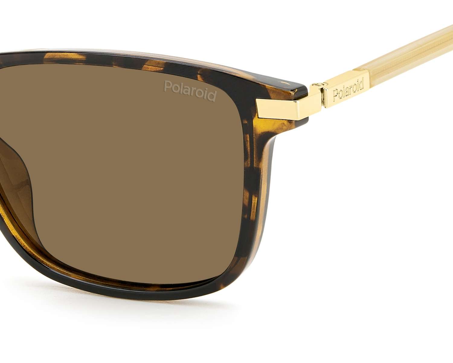 Polaroid Sunglasses PLD-4169-G-S-X 086/SP