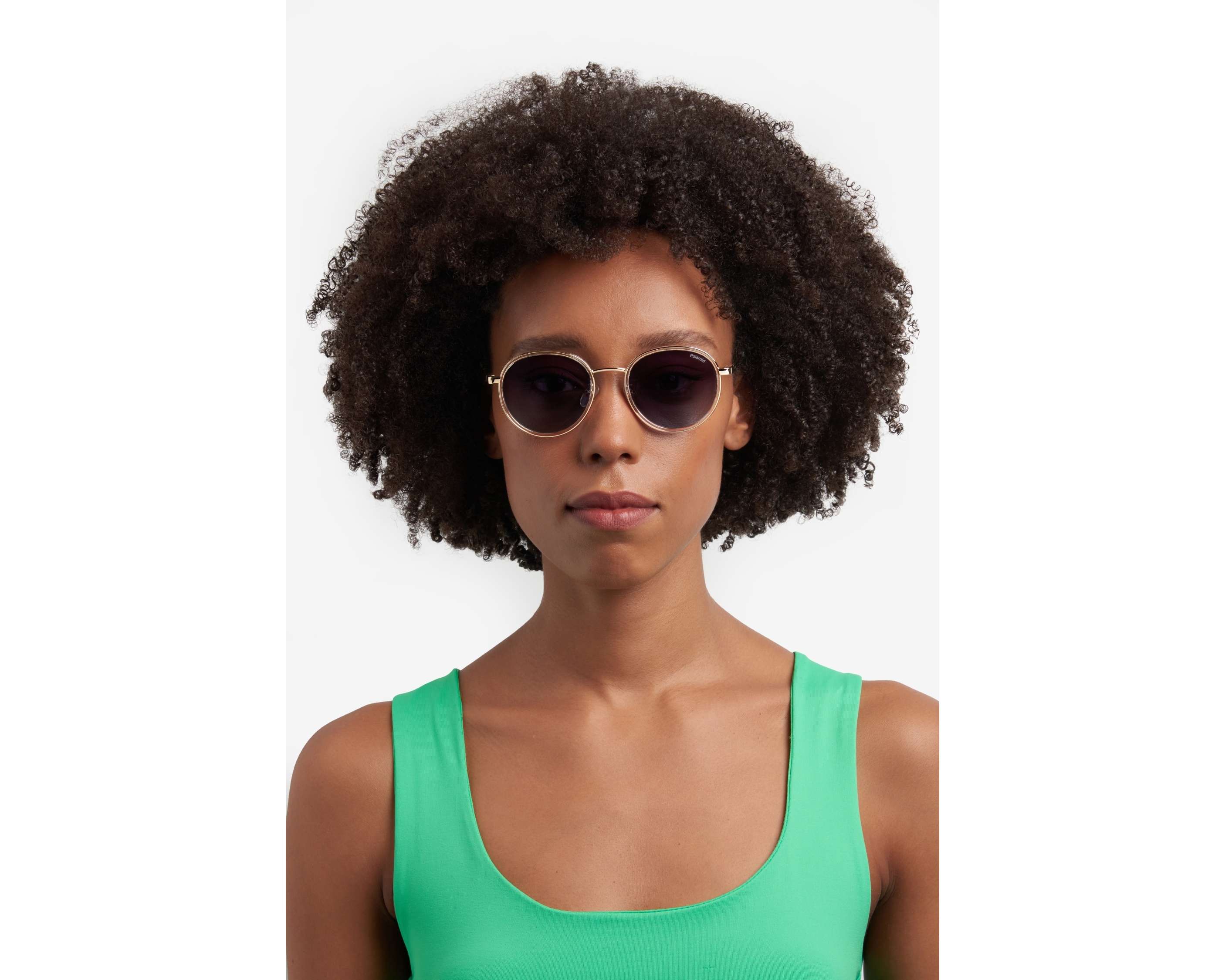 Polaroid Sunglasses PLD-4173-G-S-X 2F7/WJ