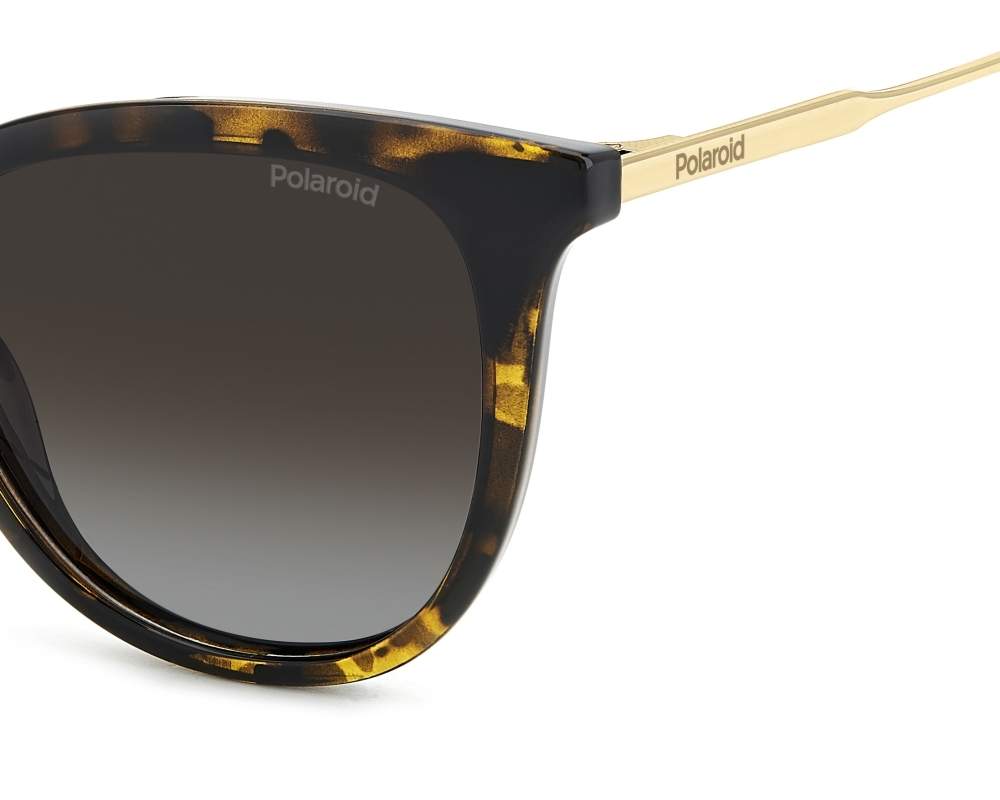 Polaroid Sunglasses PLD-4184-S-X 086/LA