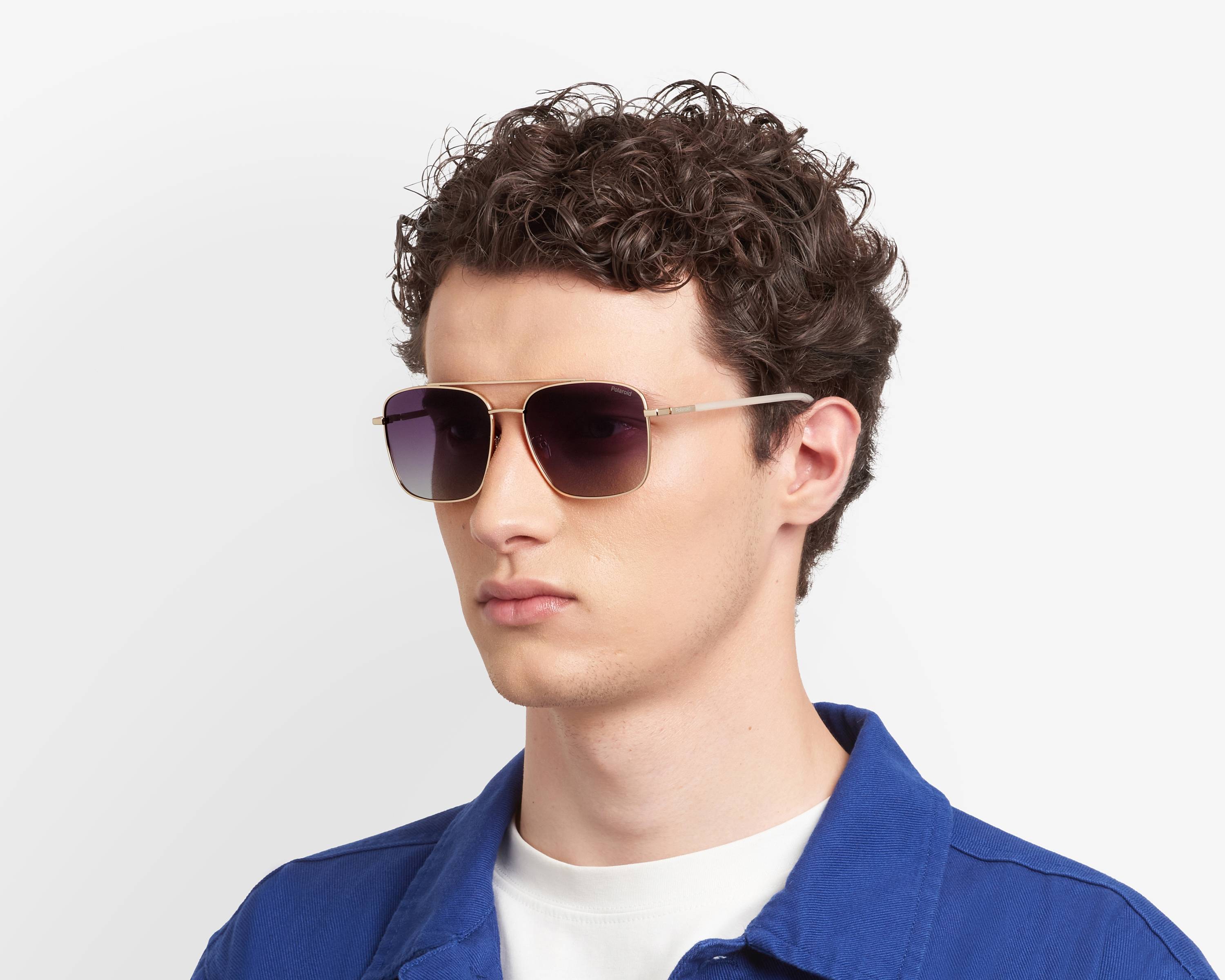 Polaroid Sunglasses PLD-4192-G-S-X 2F7/WJ