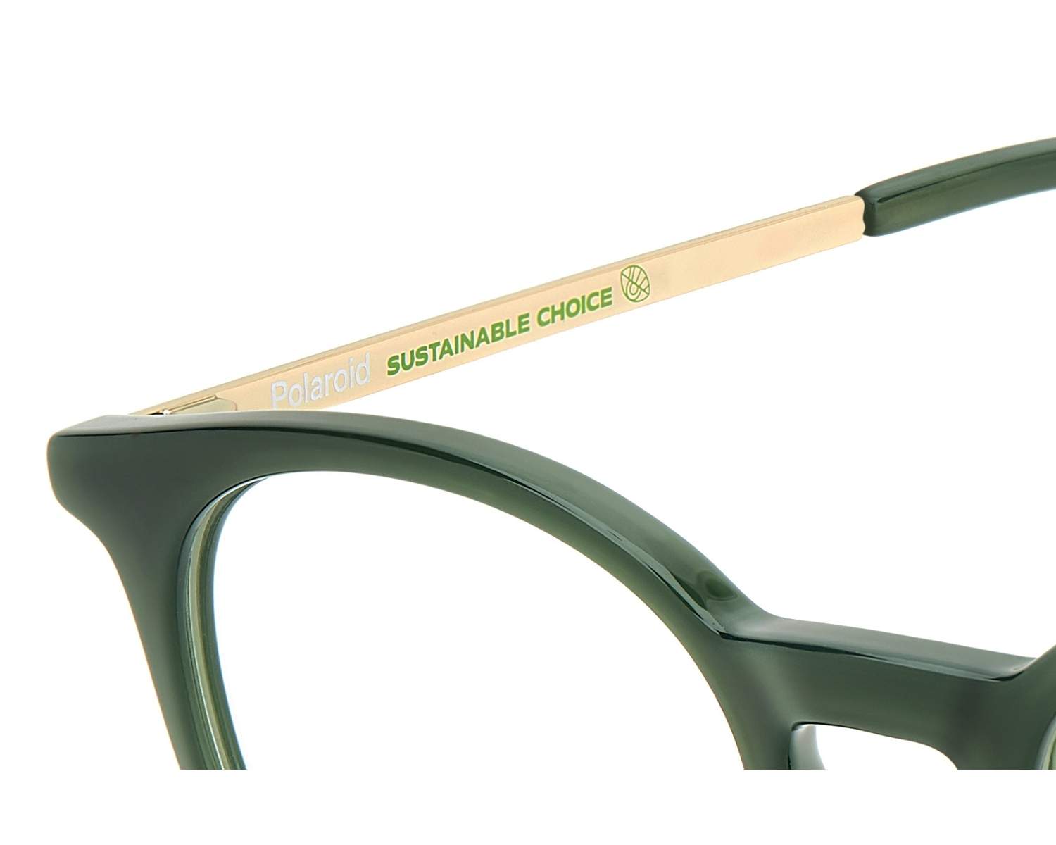 Polaroid Glasses PLD-D496 1ED