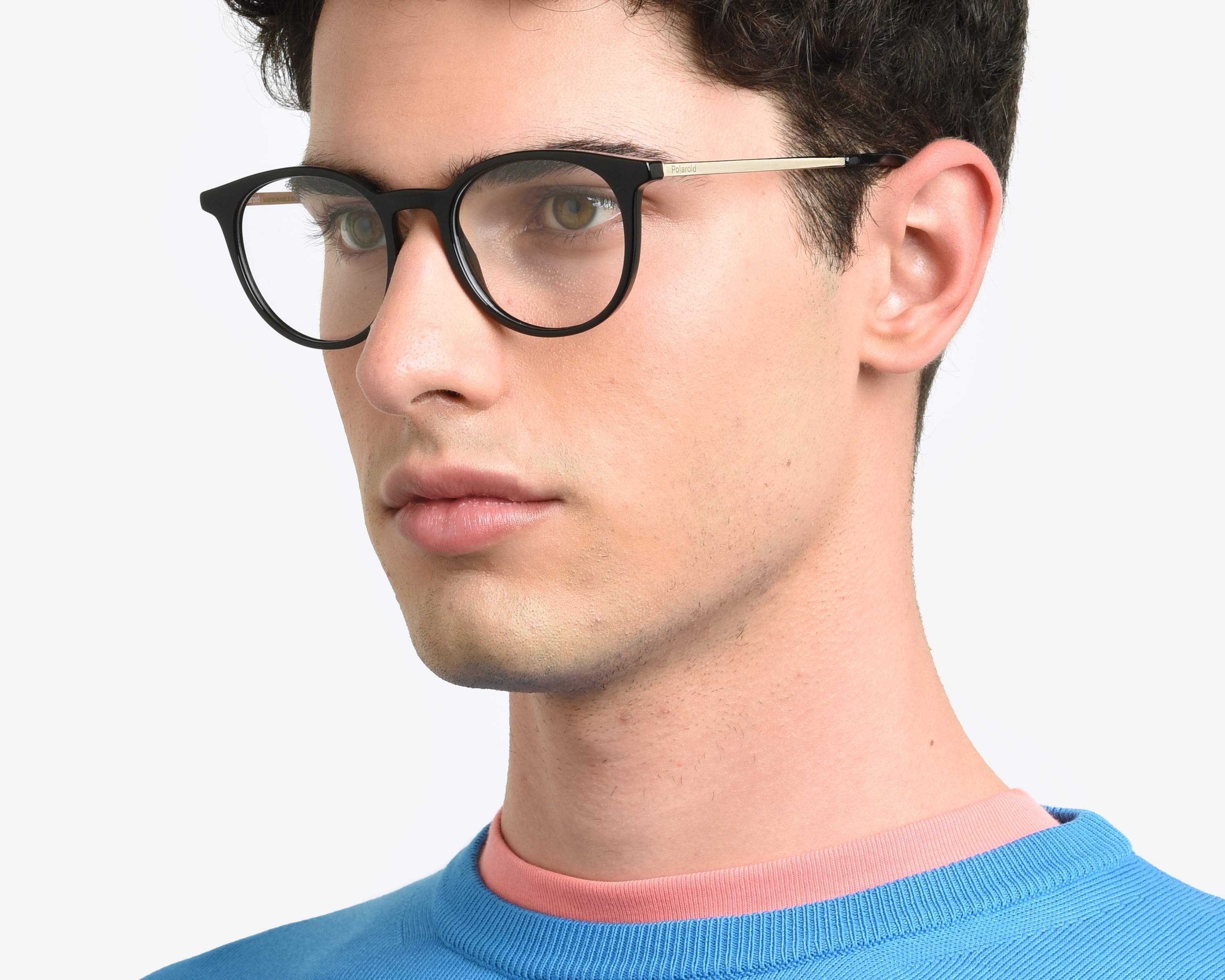 Polaroid Glasses PLD-D496 807