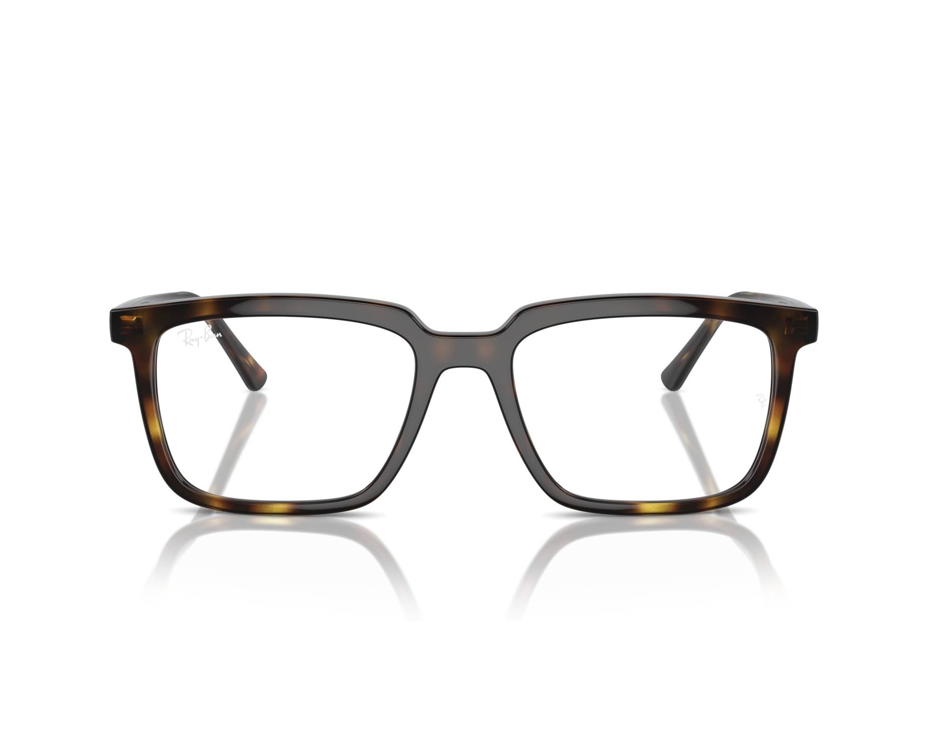 Ray-Ban Glasses Alain RX7239 2012