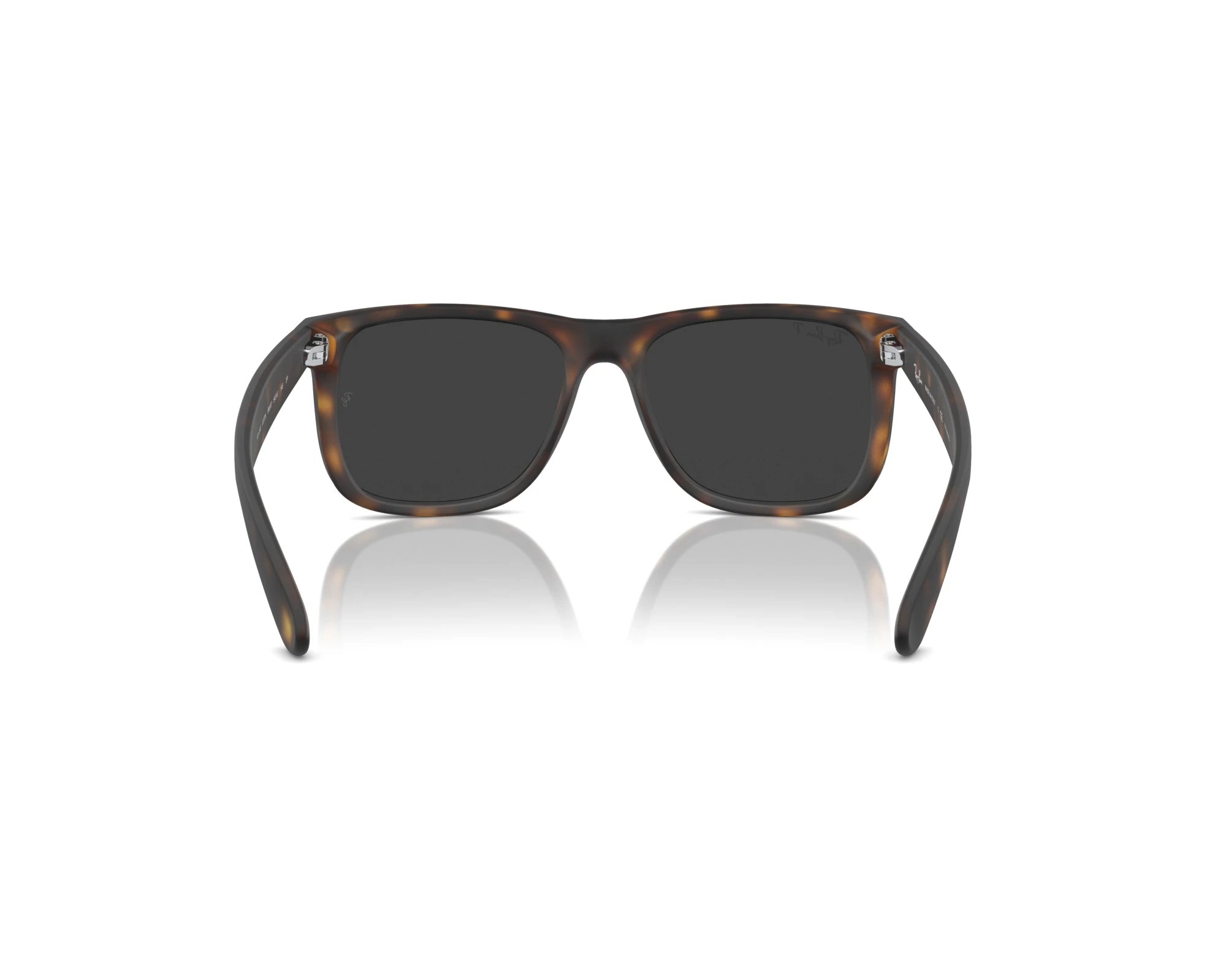 Ray-Ban RB4165 865/87 55-16 havana  side view