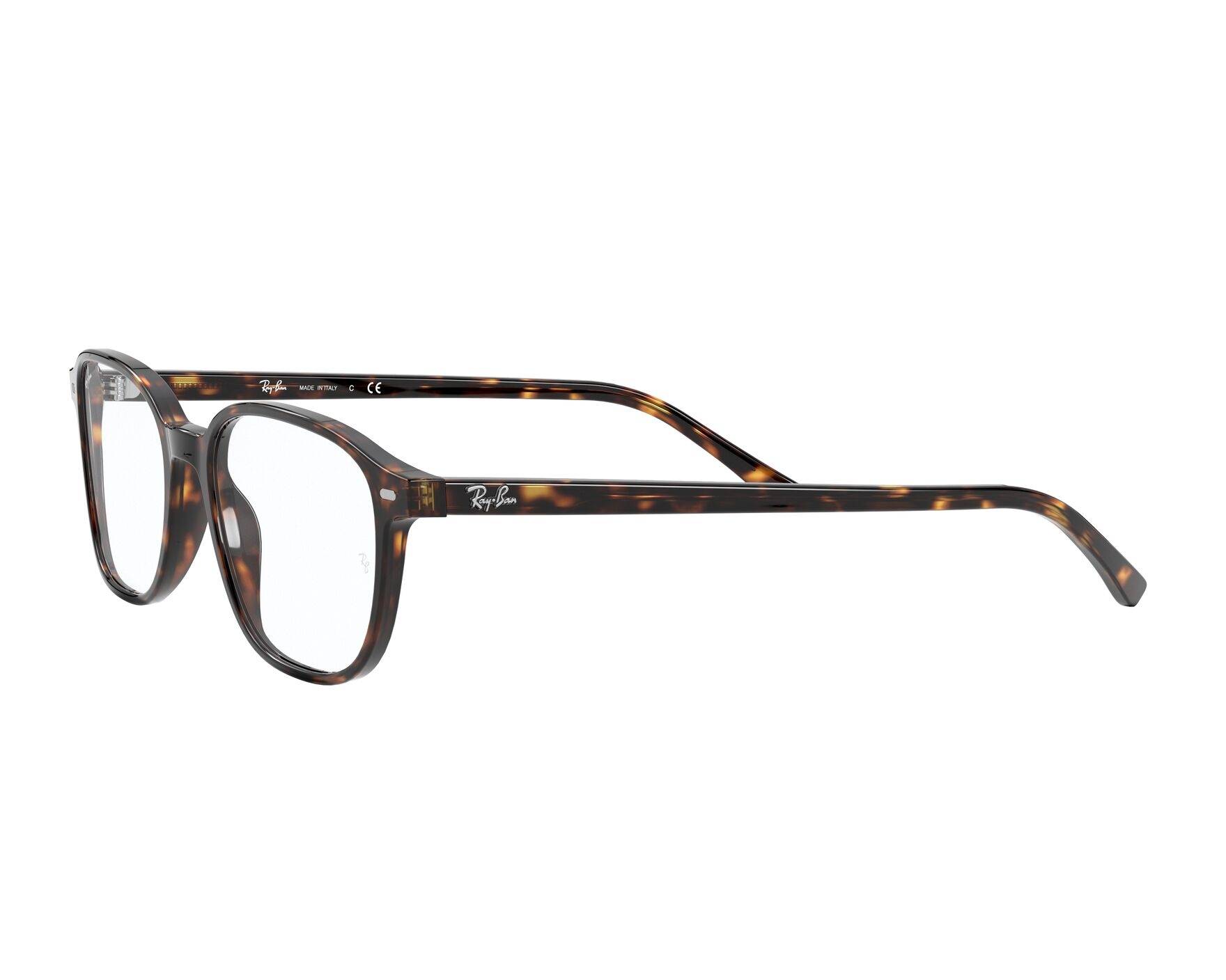 Ray-Ban Glasses Leonard RX5393 2012